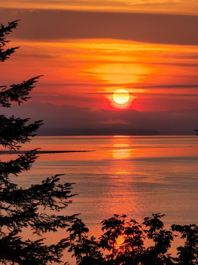 Ocean'S Edge Suite Campbell River Zewnętrze zdjęcie